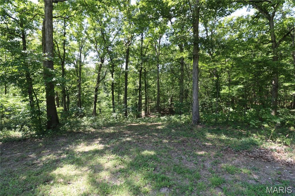 464 Red Fox Drive Property Photo 34