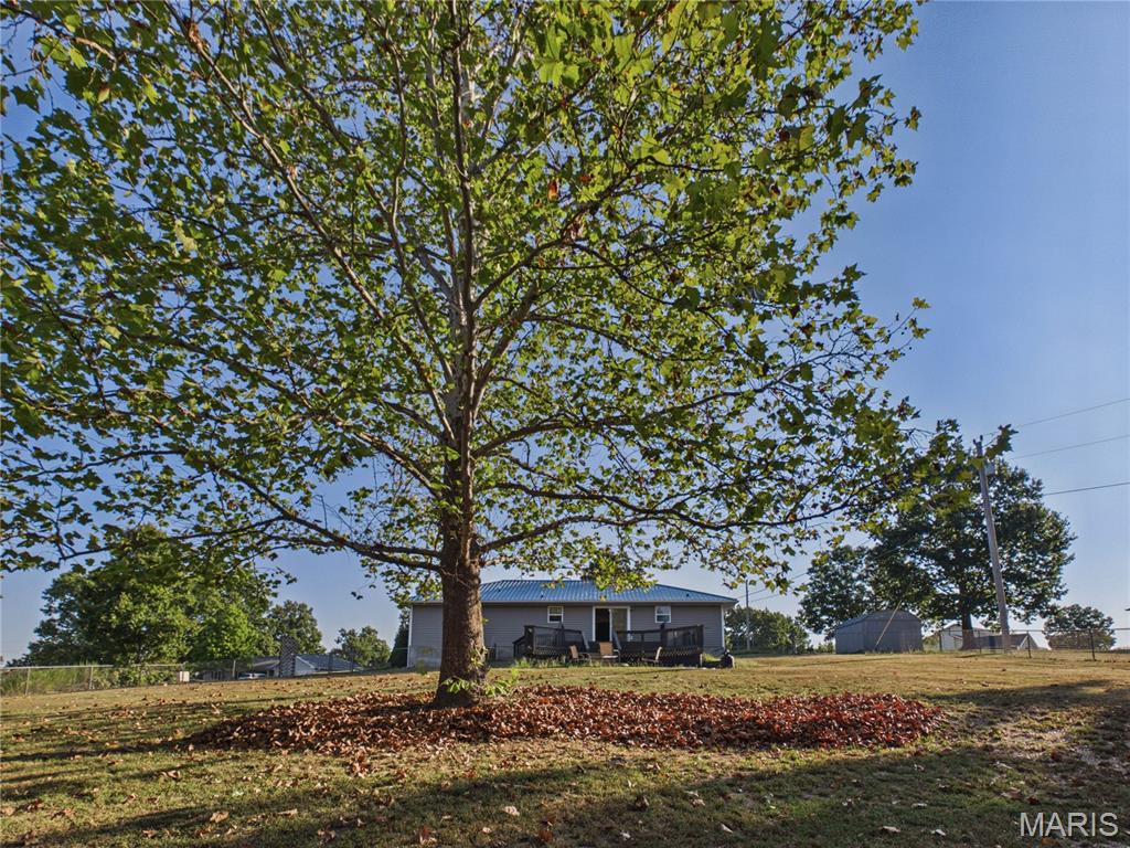 14328 Torpedo Drive Property Photo 15