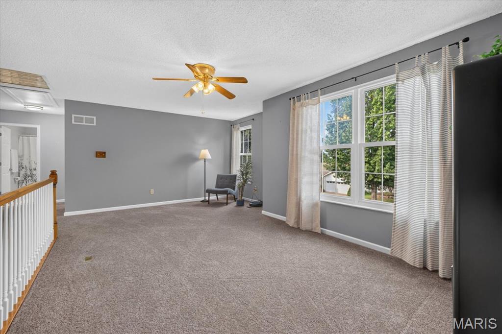 312 Quiet Country Drive Property Photo 23