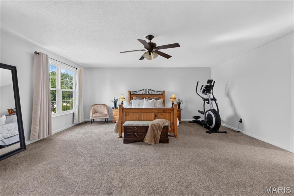 312 Quiet Country Drive Property Photo 24