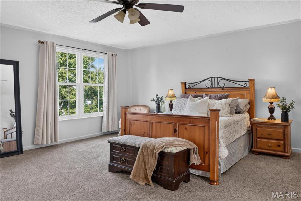 312 Quiet Country Drive Property Photo 26