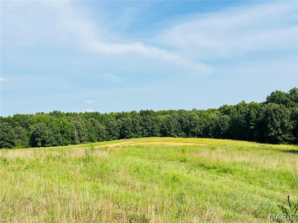 0 Highway W Property Photo 1