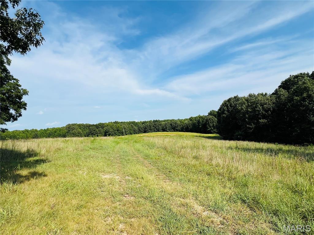 0 Highway W Property Photo 2