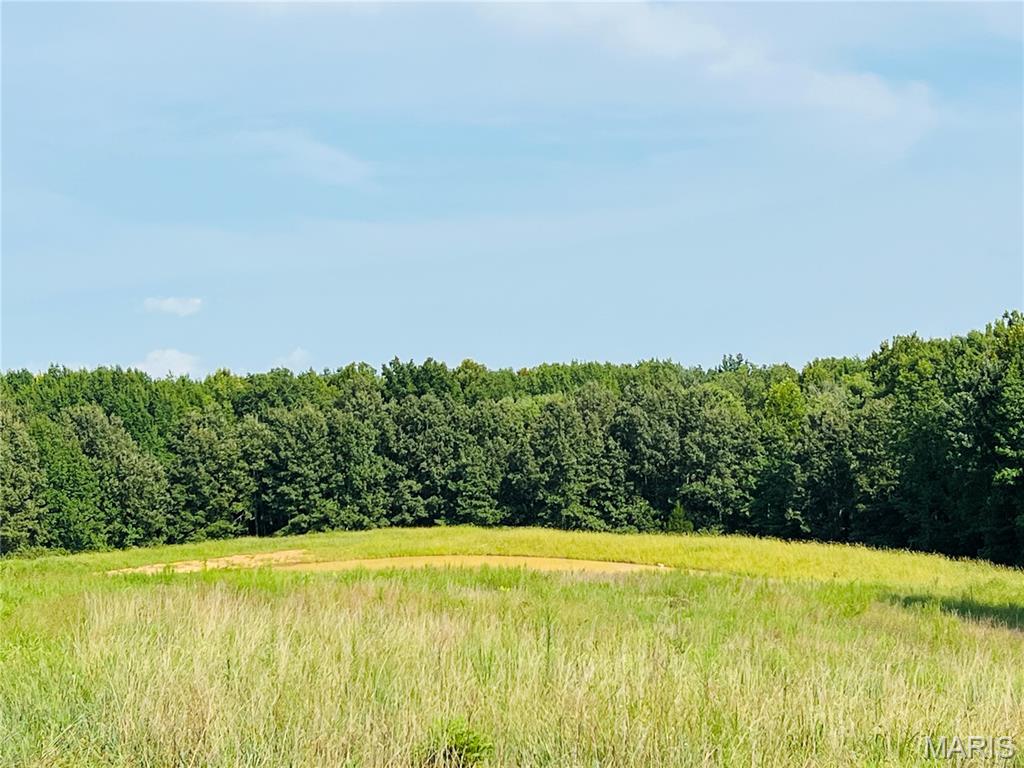 0 Highway W Property Photo 3