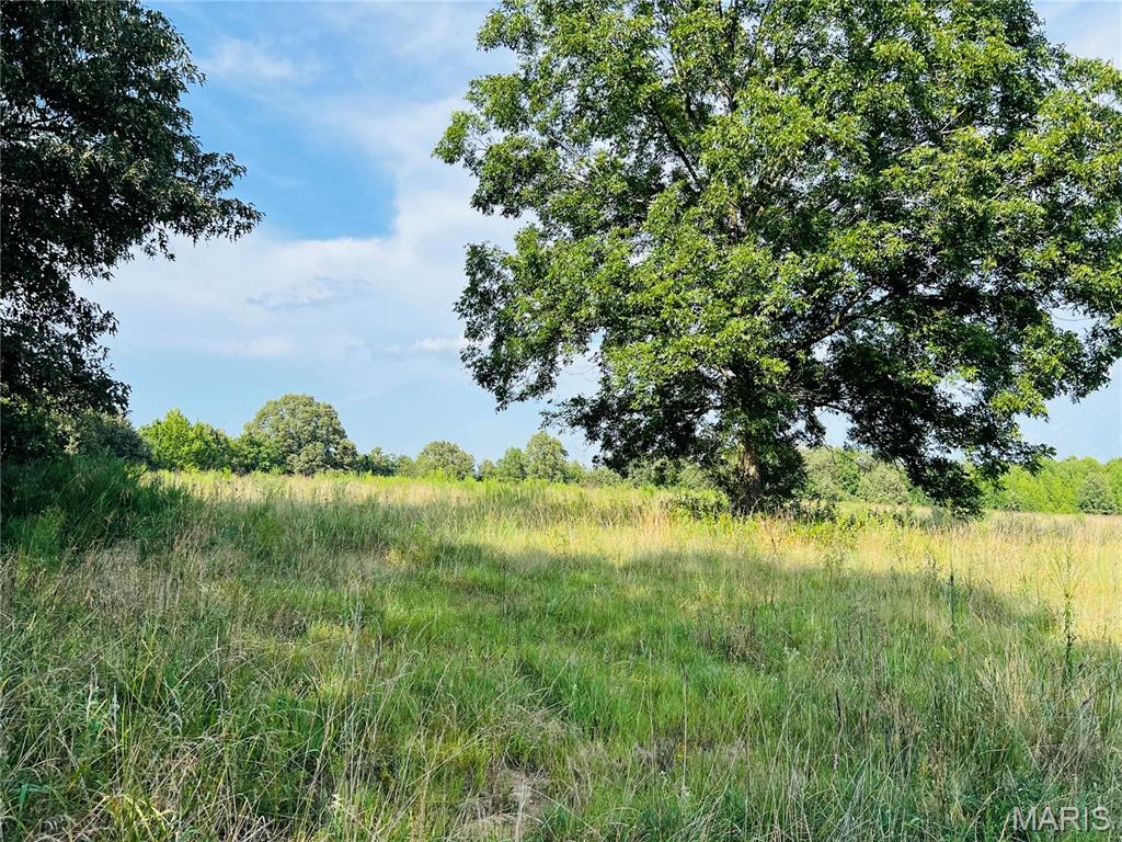 0 Highway W Property Photo 4