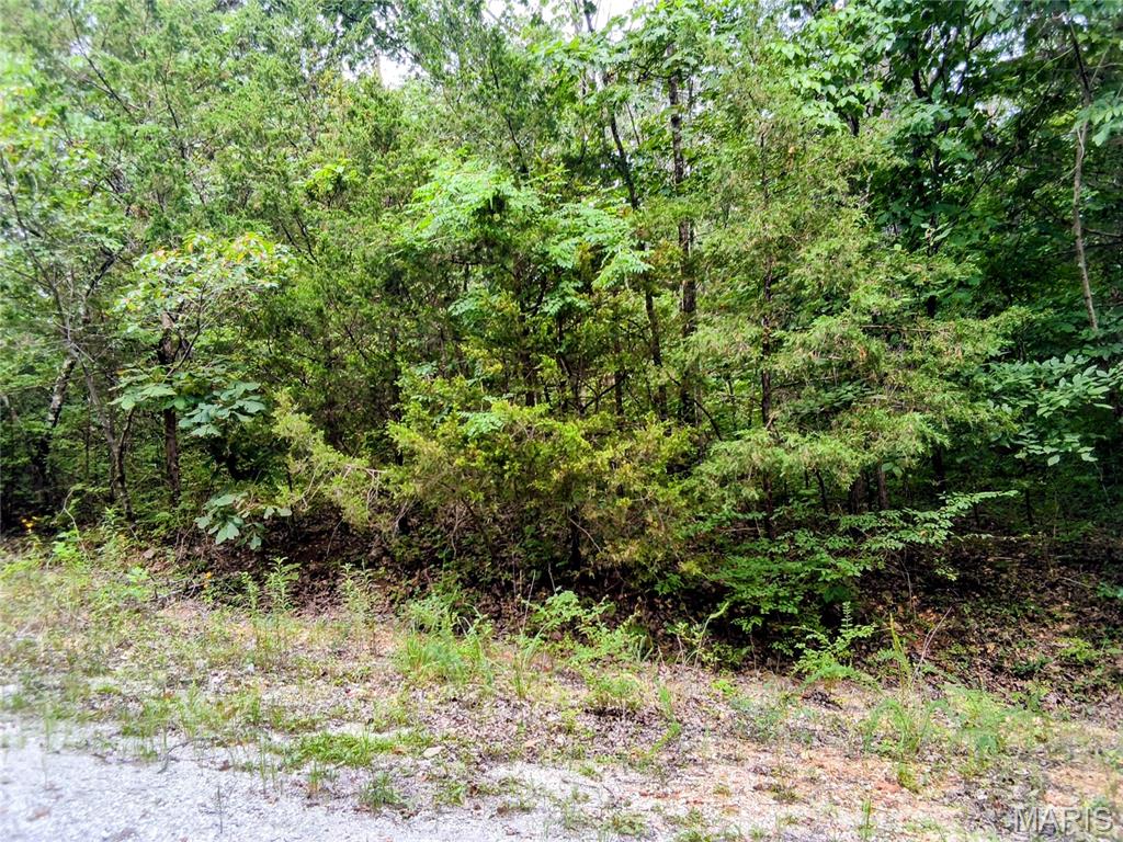 Lot 26 Kent Drive Property Photo 2