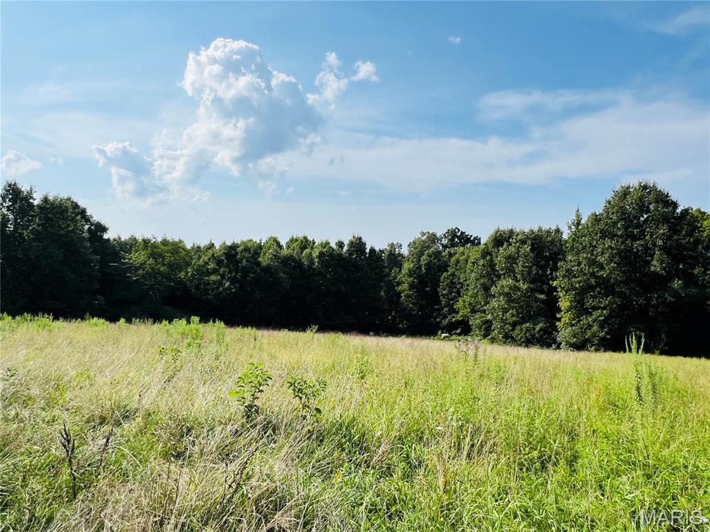0 County Road 646 Property Photo 1