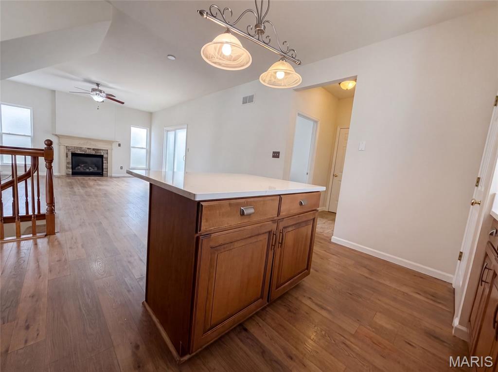 2556 Viola Gill Lane Property Photo 10