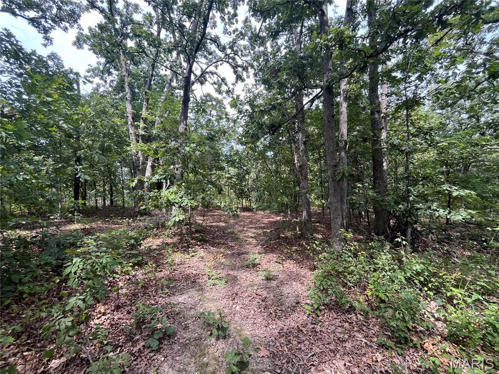 Tbd Partridge Property Photo 1