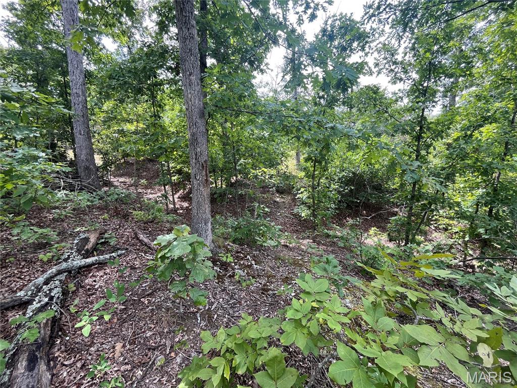 Tbd Partridge Property Photo 2