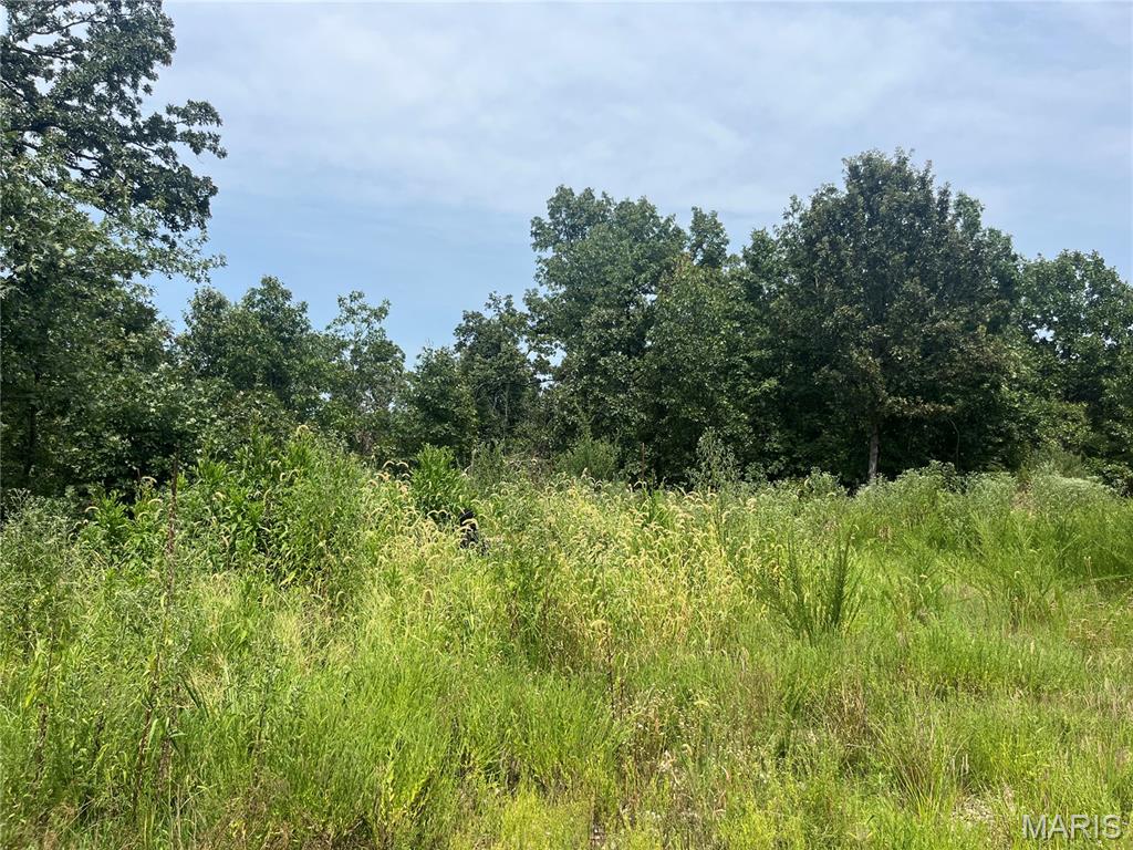 Tbd Partridge Property Photo 3
