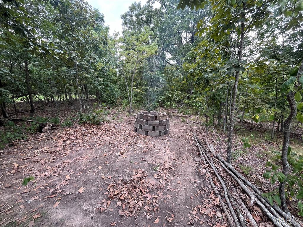 Tbd Partridge Property Photo 6
