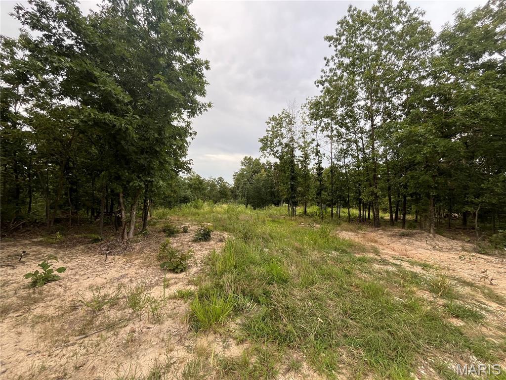 Tbd Partridge Property Photo 14