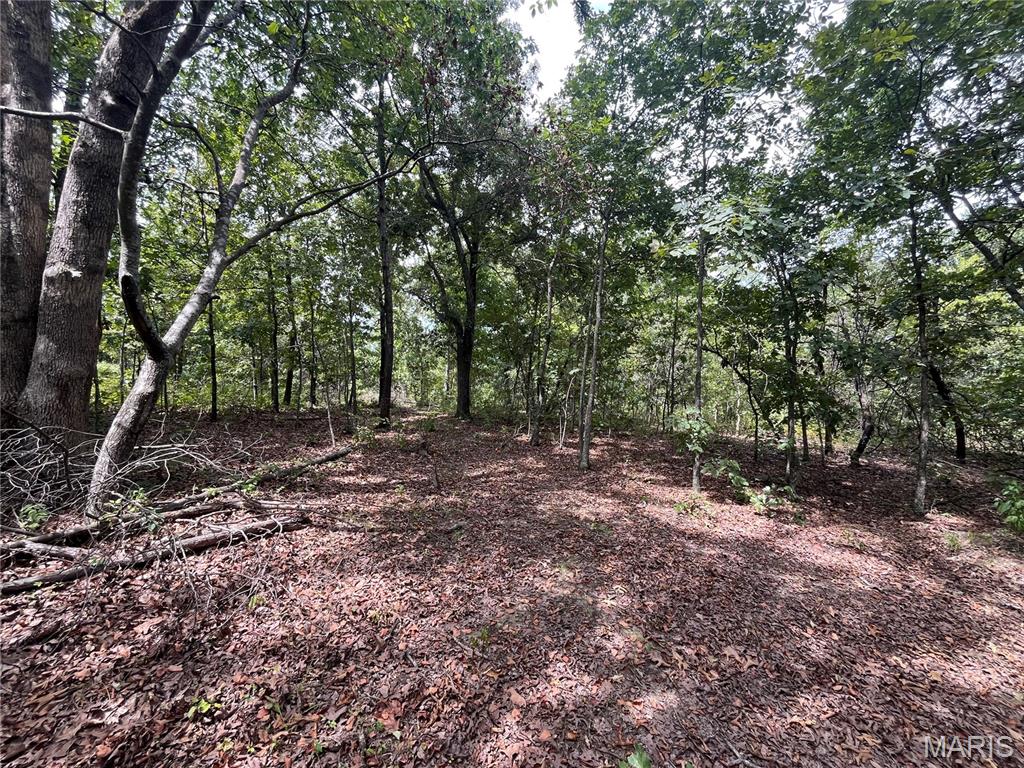 Tbd Partridge Property Photo 18