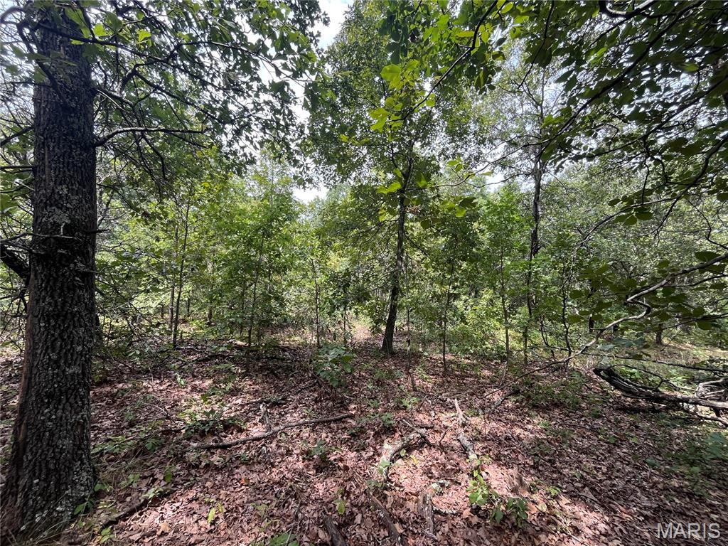Tbd Partridge Property Photo 19