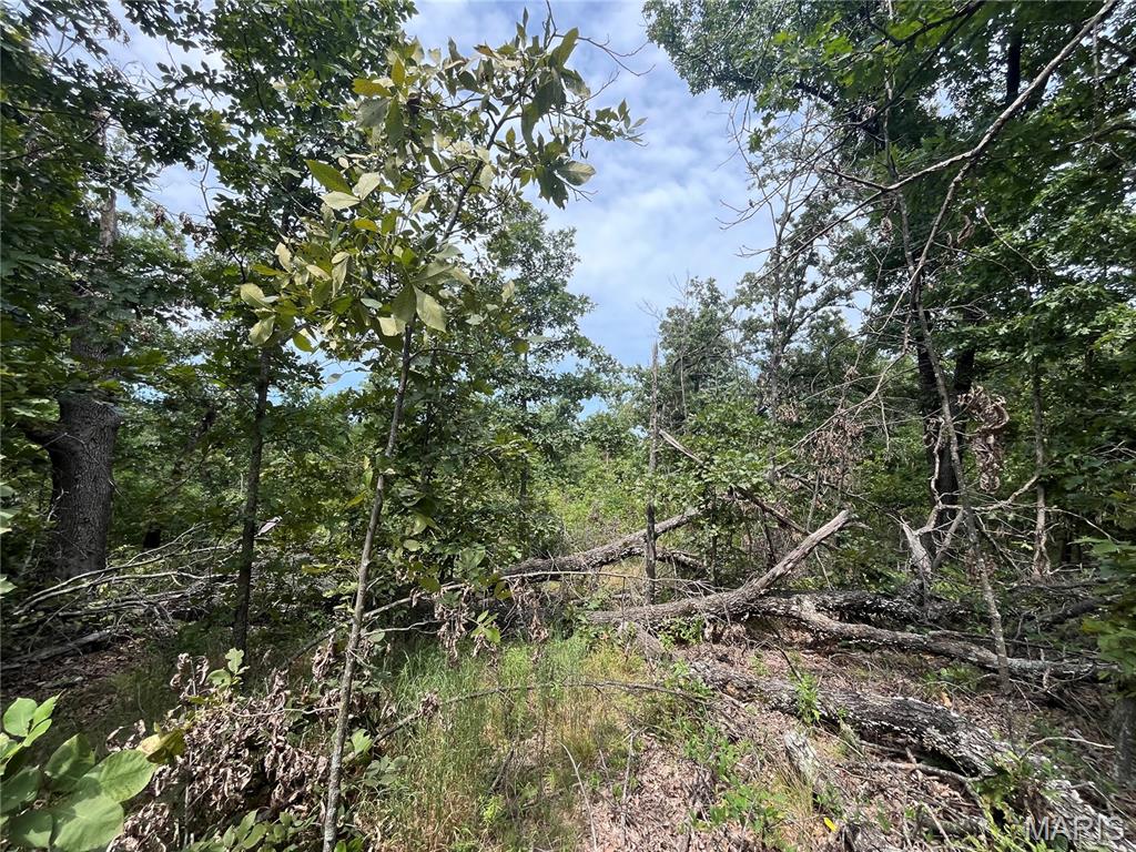Tbd Partridge Property Photo 22