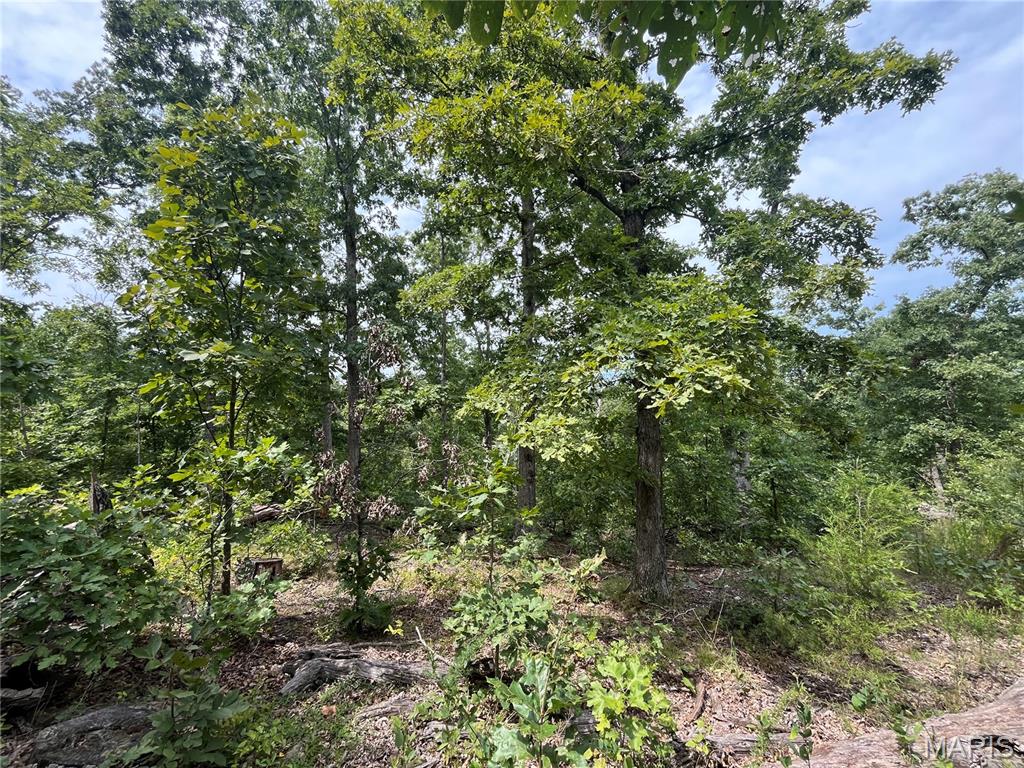 Tbd Partridge Property Photo 23