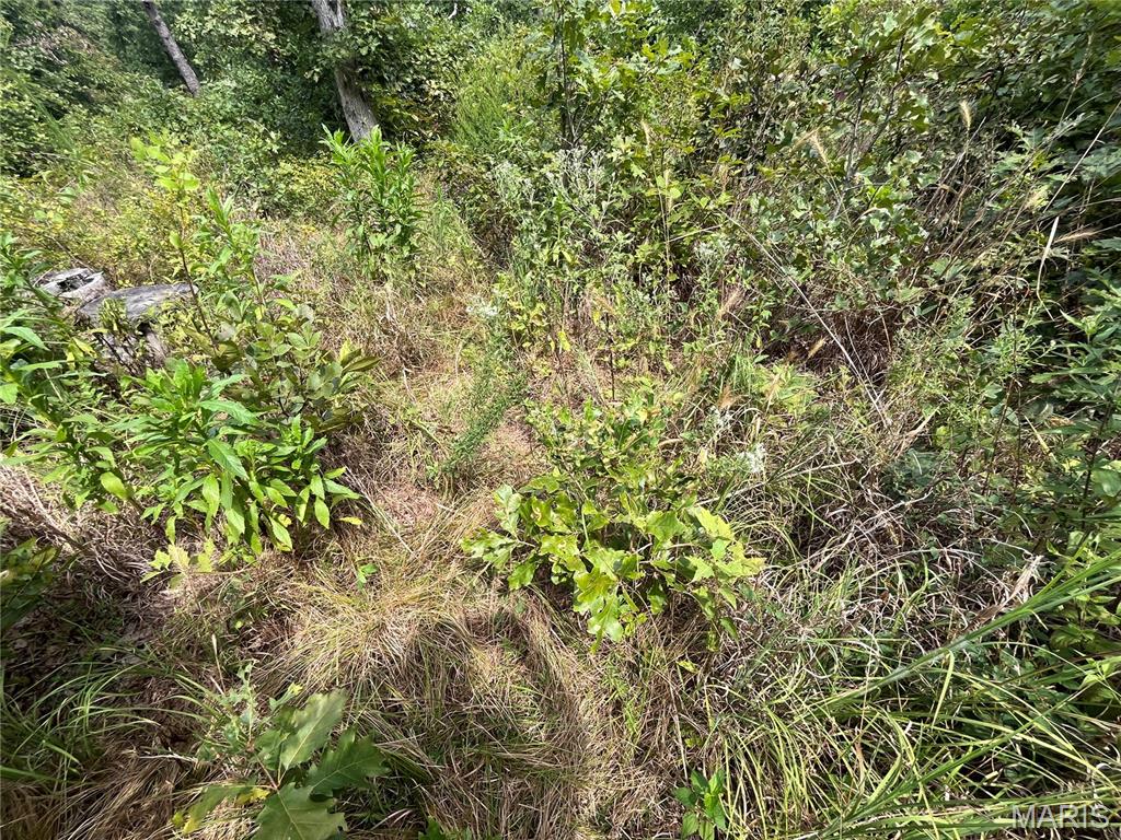 Tbd Partridge Property Photo 27