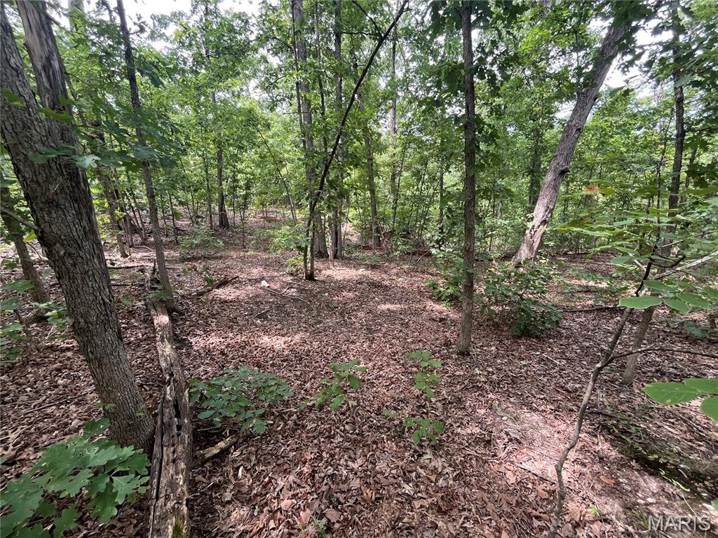 Tbd Partridge Property Photo 29