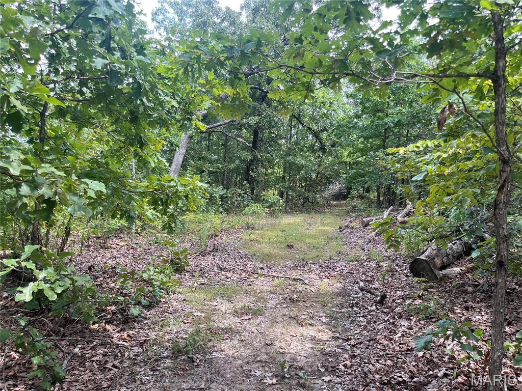 Tbd Partridge Property Photo 32