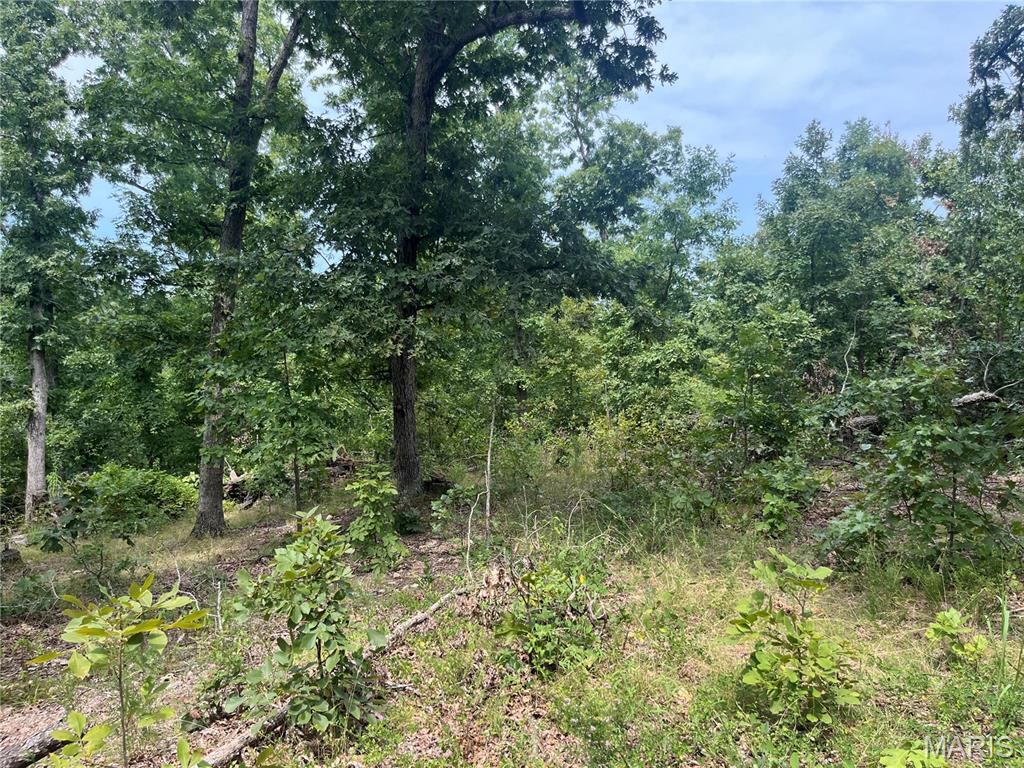Tbd Partridge Property Photo 33