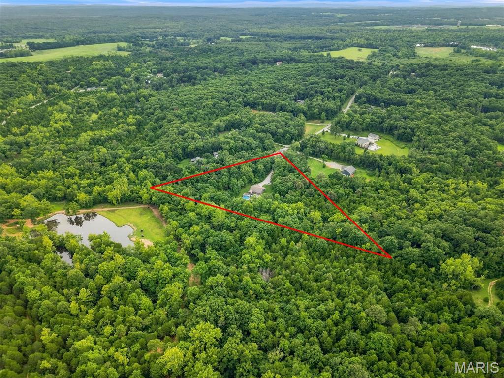 10341 Buck Run Dr Property Photo 2