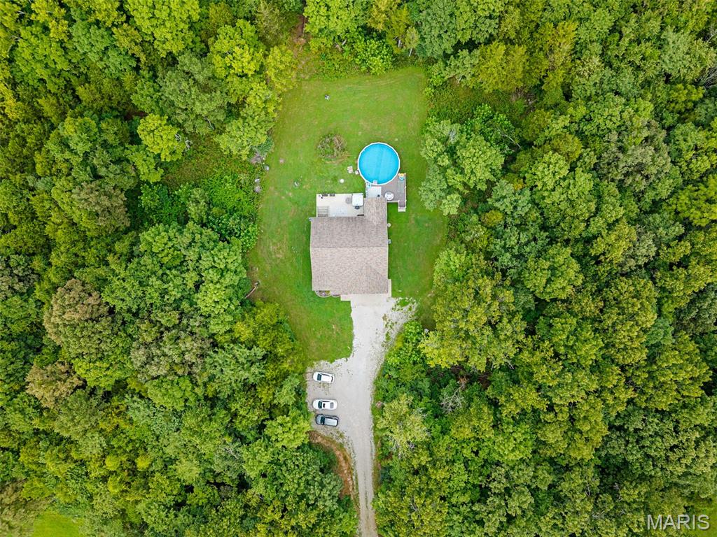 10341 Buck Run Dr Property Photo 4
