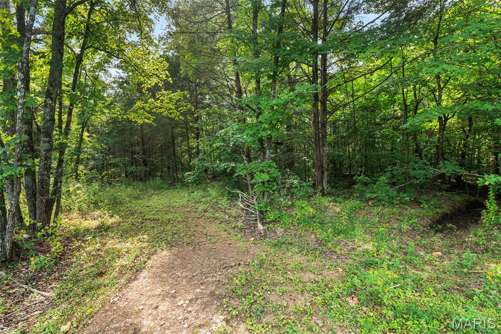 10341 Buck Run Dr Property Photo 7