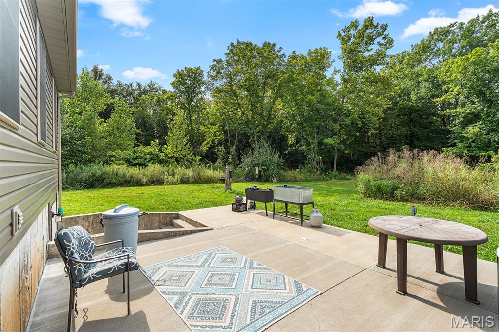10341 Buck Run Dr Property Photo 10