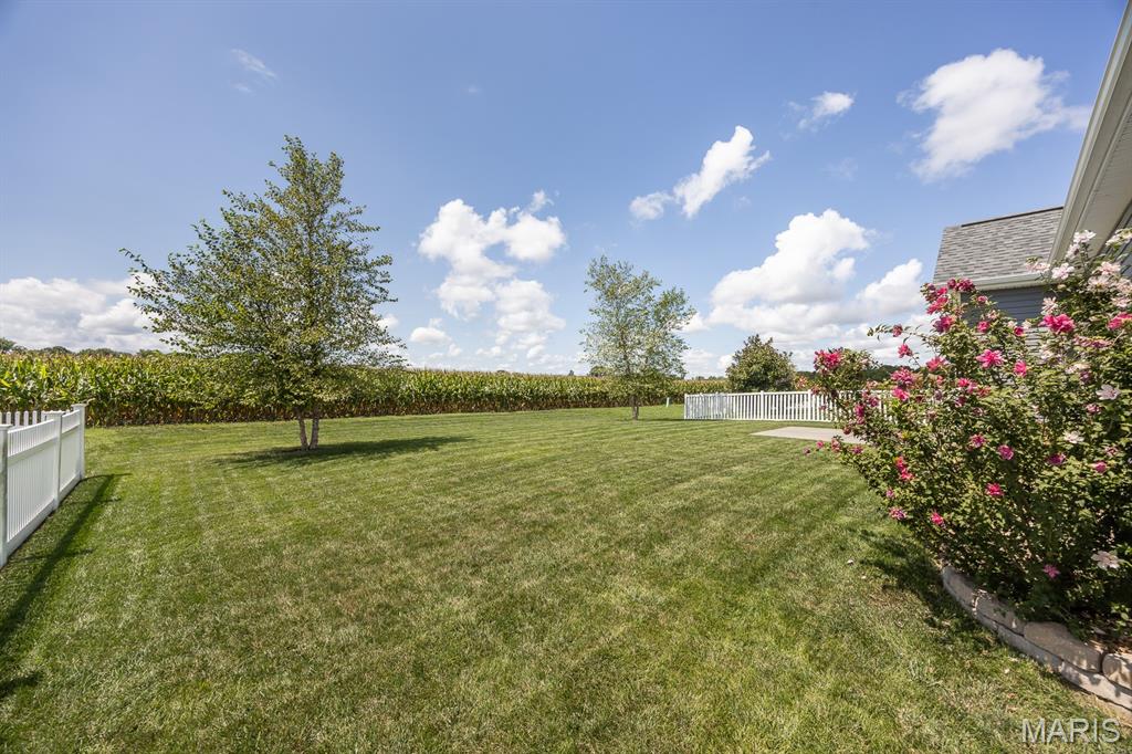 861 Bluff Ridge Lane Property Photo 26