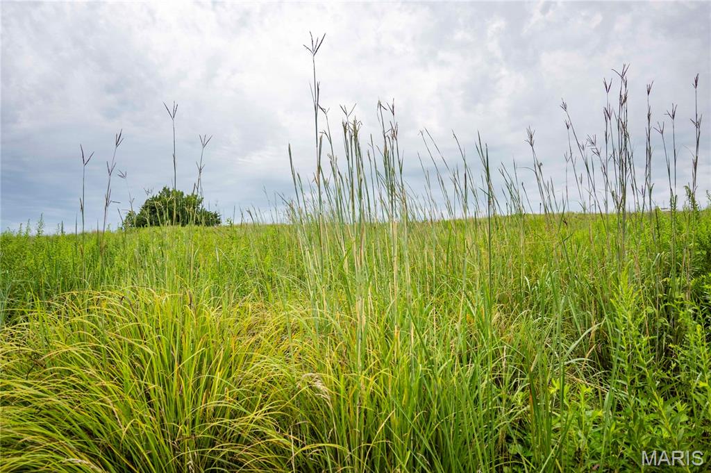 20149 Us Hwy 63 Property Photo 55