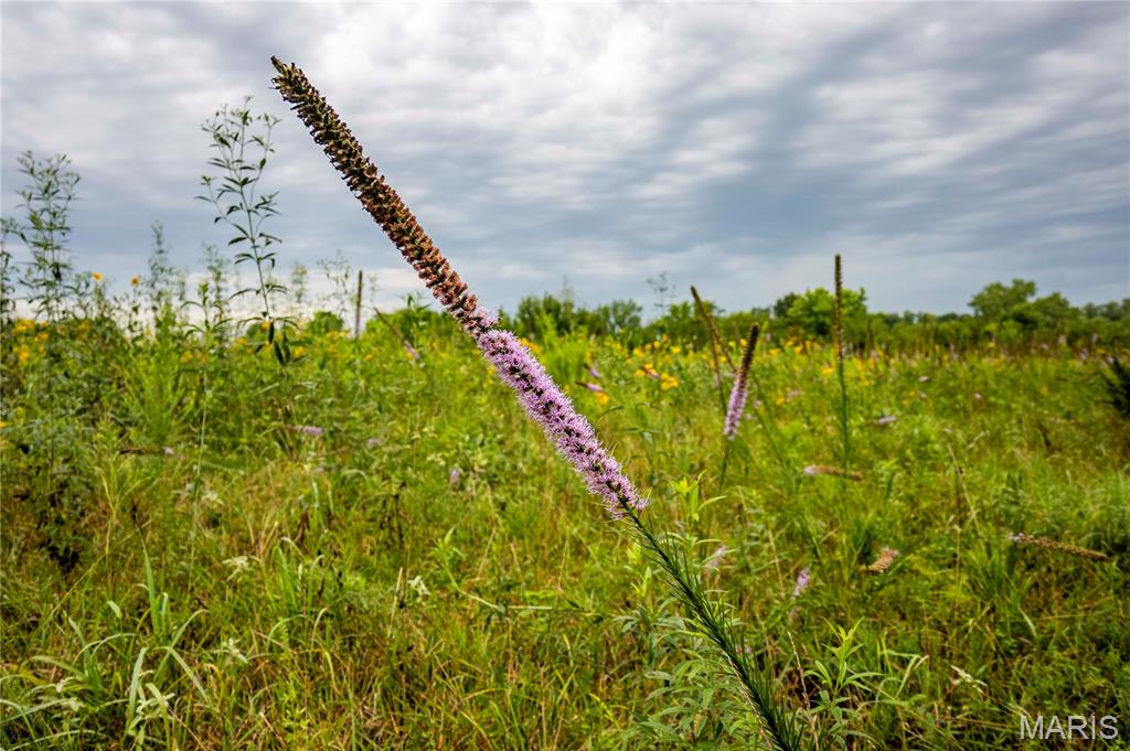 20149 Us Hwy 63 Property Photo 56