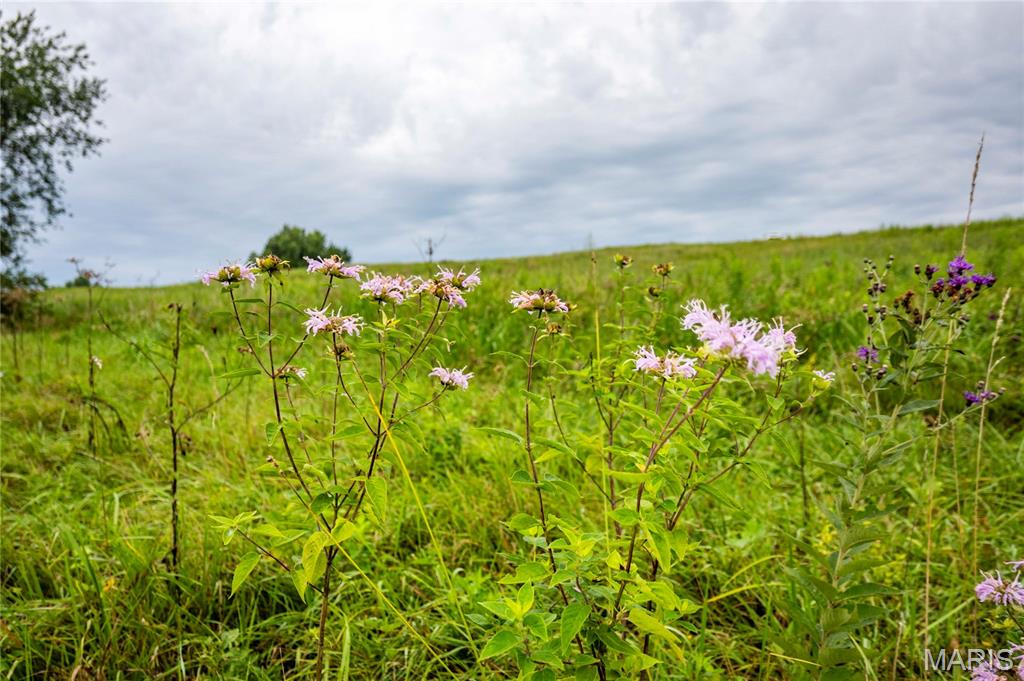 20149 Us Hwy 63 Property Photo 57