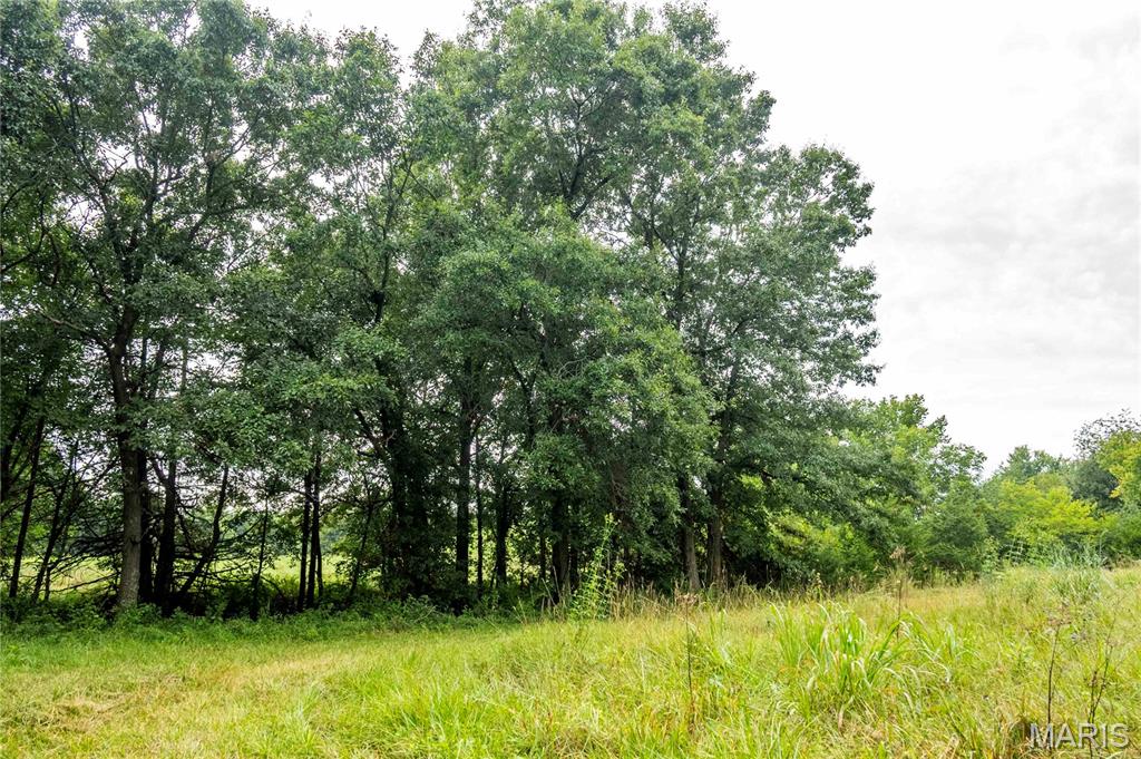 20149 Us Hwy 63 Property Photo 64