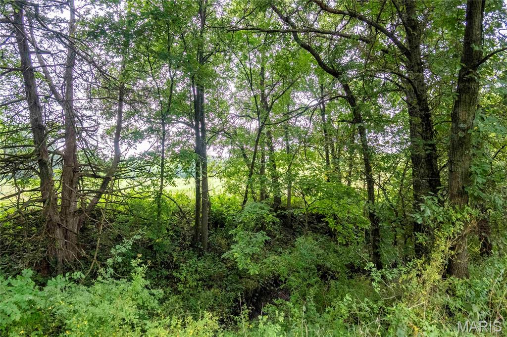 20149 Us Hwy 63 Property Photo 72