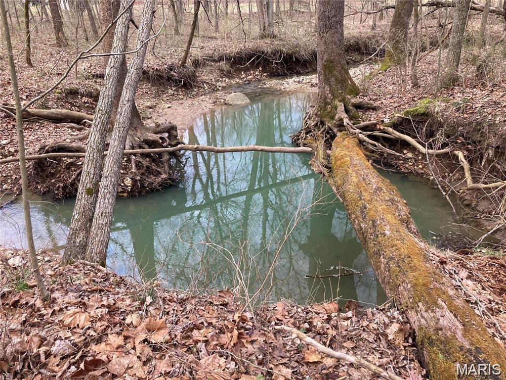50.15 +/- Acres Pendleton Lost Creek Road Property Photo 1