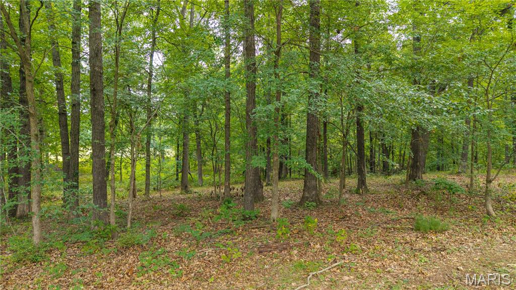 24361 Turkey Drive Property Photo 18