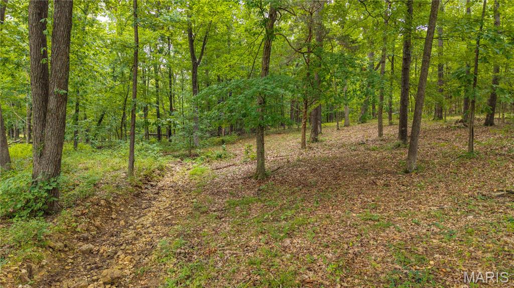 24361 Turkey Drive Property Photo 19