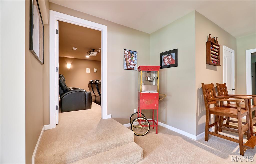 4412 Arrowhead Ridge Lane Property Photo 73