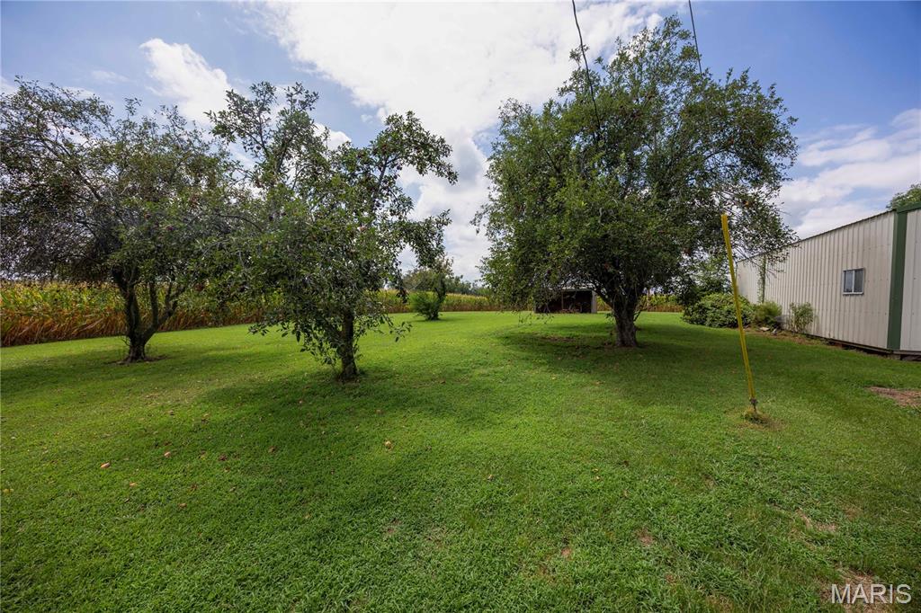 331 County Road 433 Property Photo 38