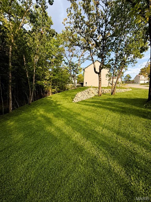 21790 Lomax Property Photo 52