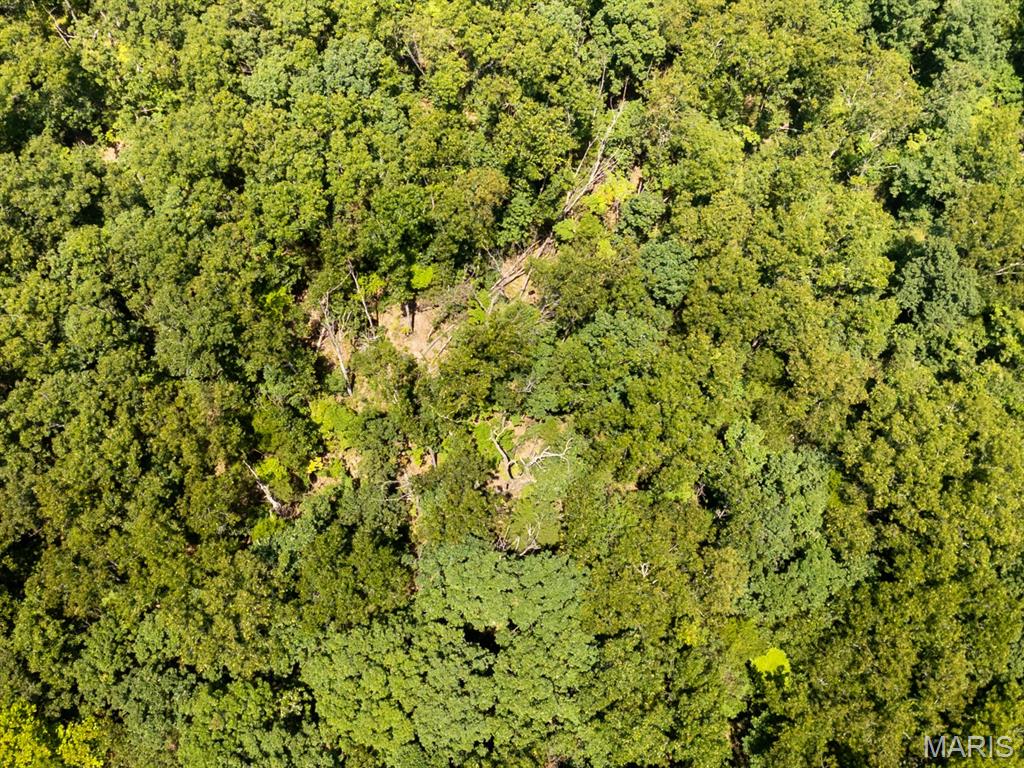 0 Highway Cc Property Photo 10