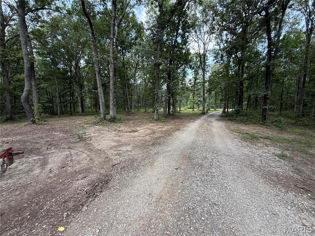 7107 Bittersweet Lane Property Photo 55