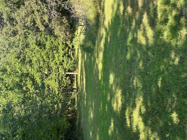 235 Flycatcher Lane Property Photo 1
