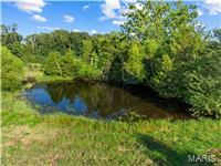 00 Spring Bluff Road Property Photo 4