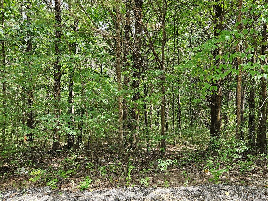 9480 Bent Tree Drive Property Photo 1