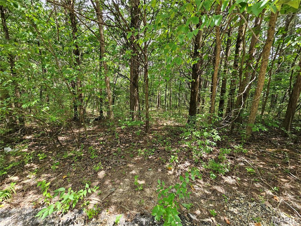 9480 Bent Tree Drive Property Photo 2