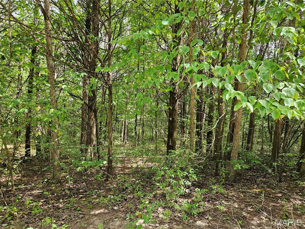 9480 Bent Tree Drive Property Photo 3