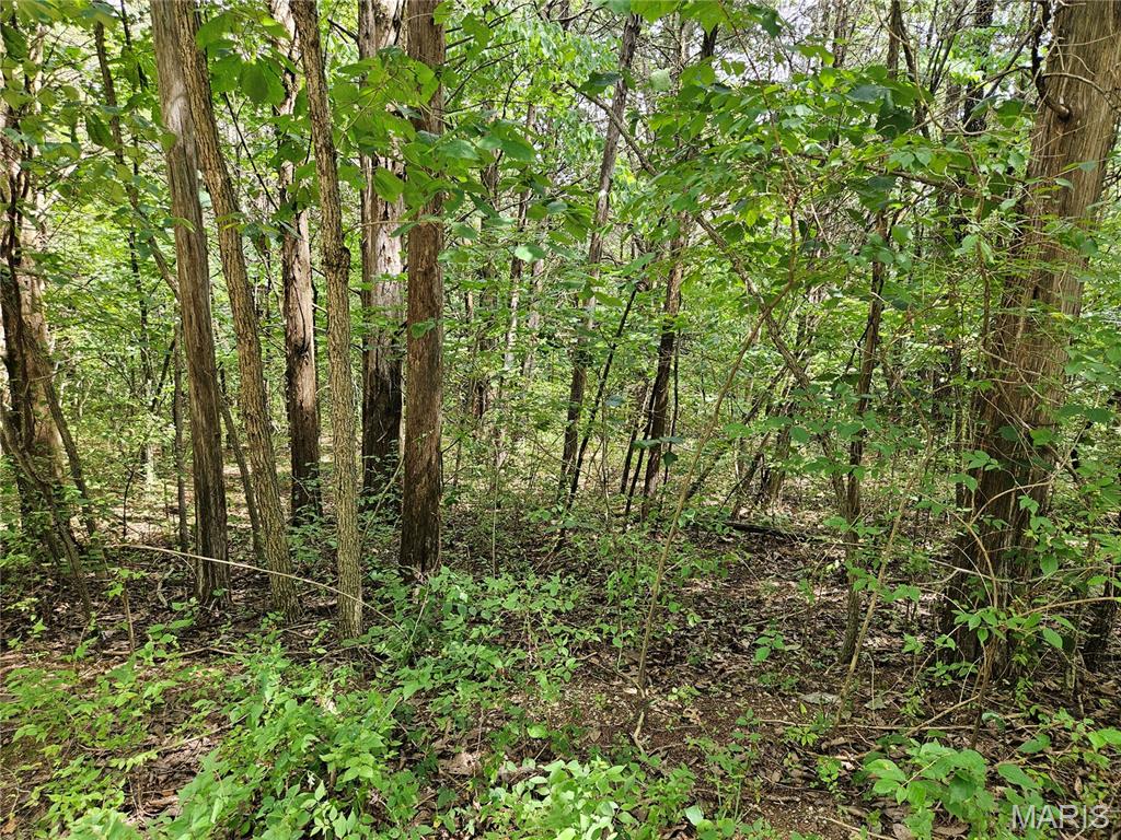 9480 Bent Tree Drive Property Photo 4