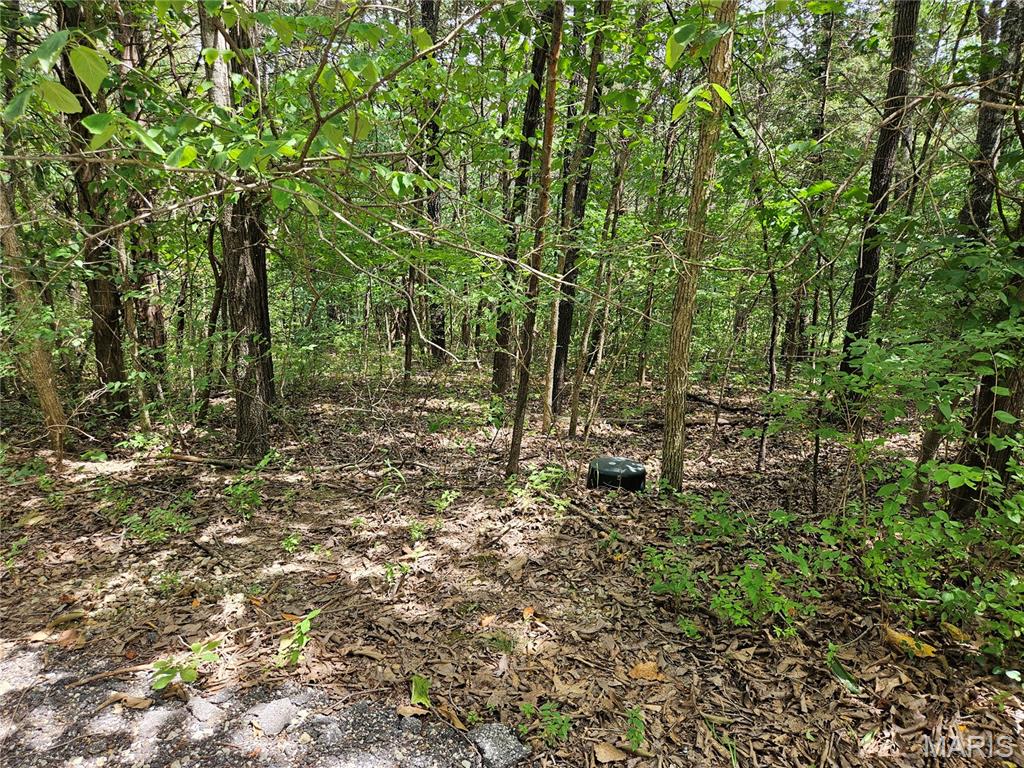 9480 Bent Tree Drive Property Photo 7